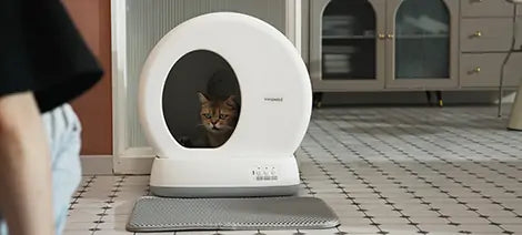 Pourquoi les chats renversent-ils les choses ?