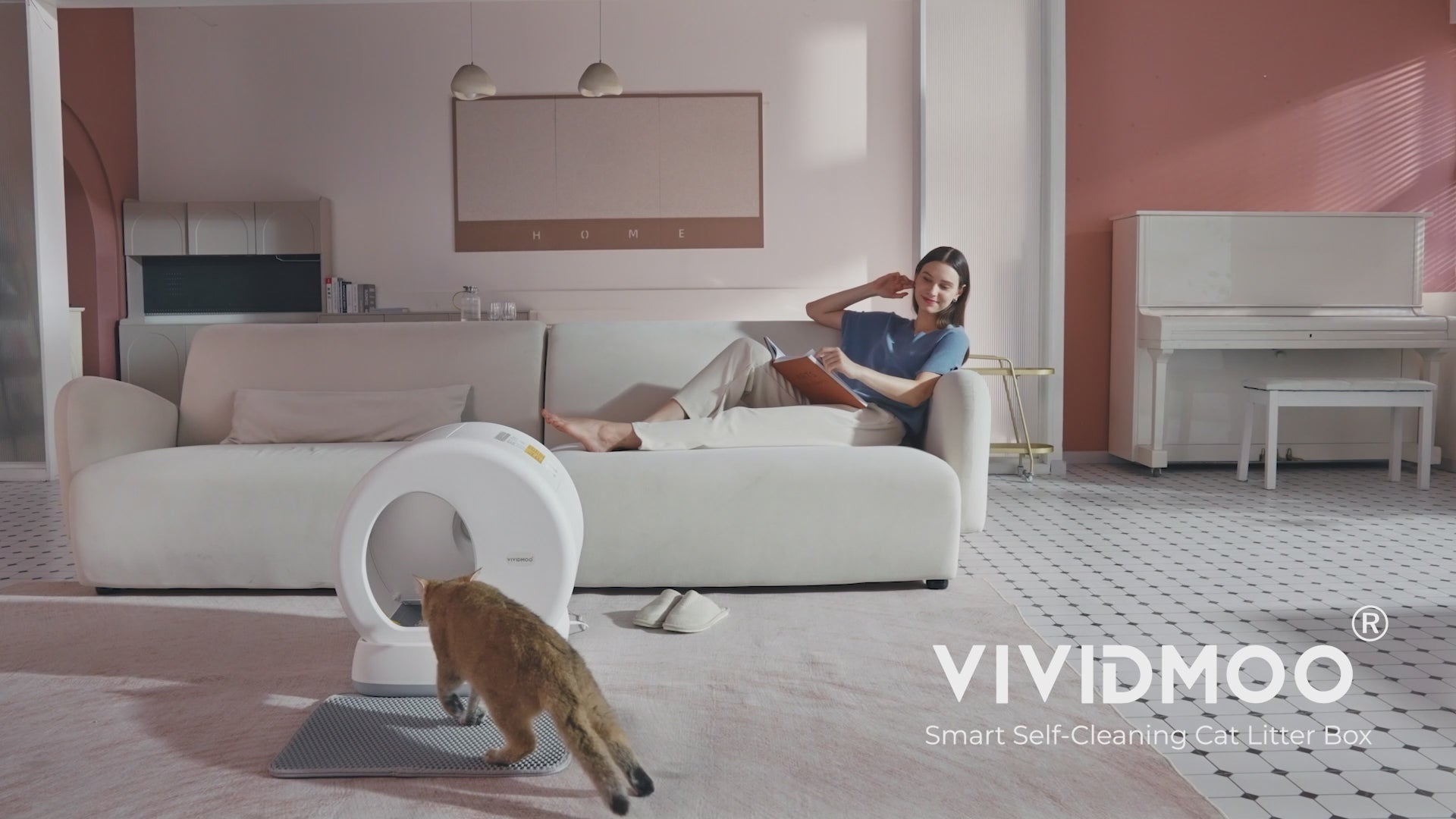 vividmoo-litter-robot-box-for-cat (1).MOV__PID:b69a69d8-b3a3-4e83-9118-02cfa2163c41
