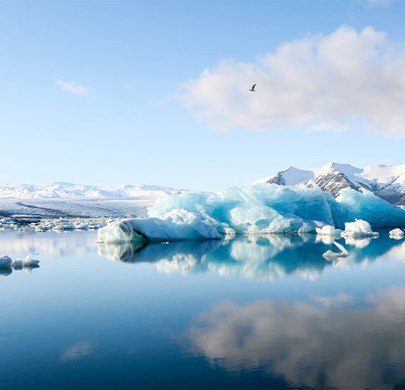 The Different Types of Ice in Oceanography