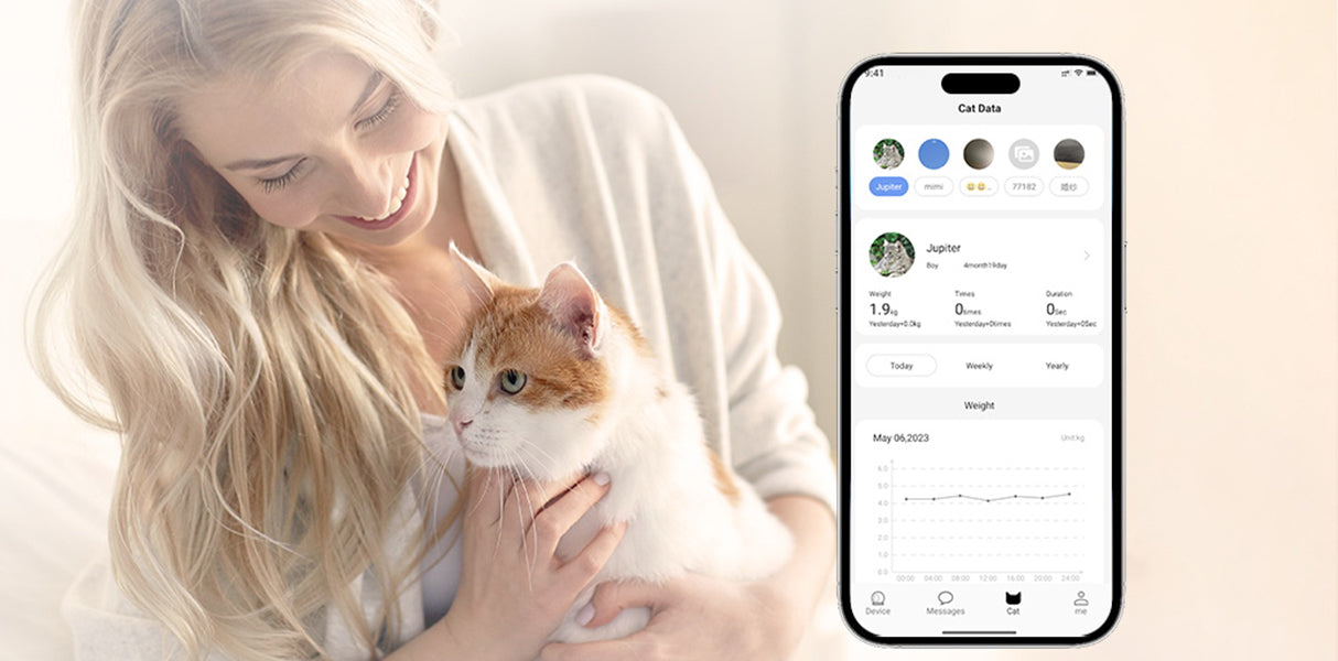 What Causes Blood in Cat Urine?