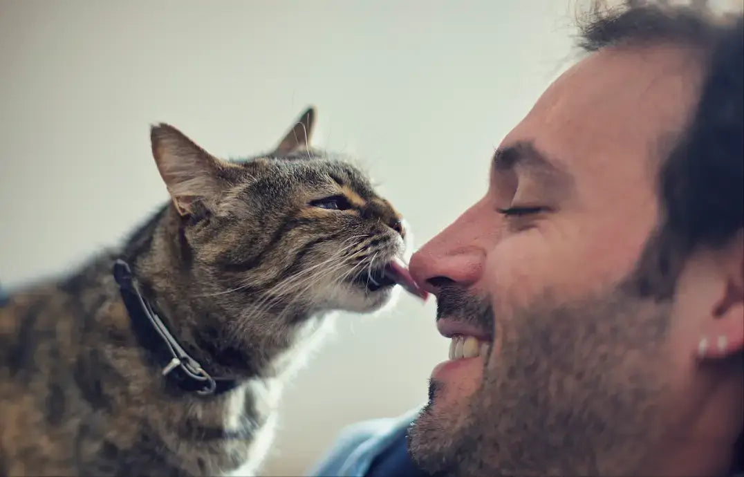 Why Does My Cat Lick Me?