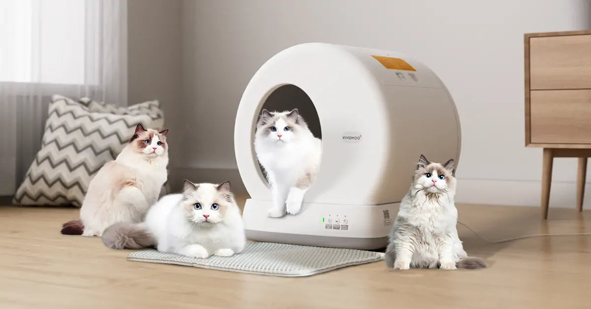 Compatibility of Smart Cat Litter Boxes