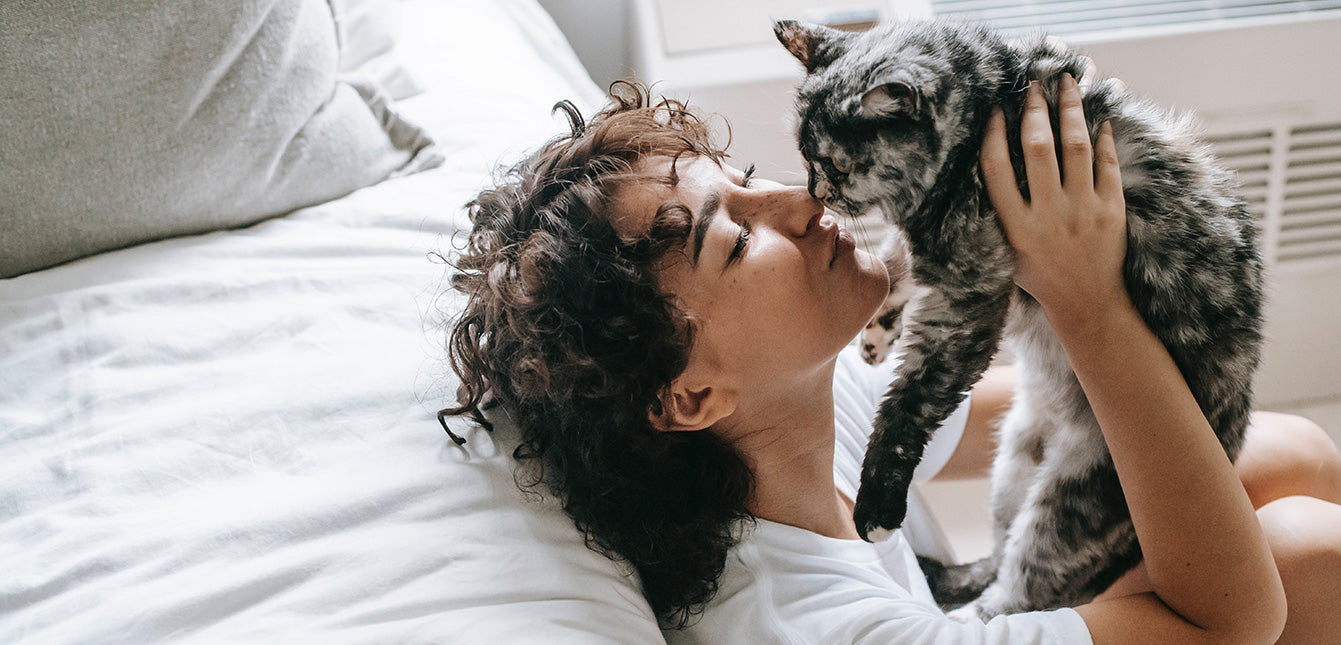 Where to Put the Litter Box in a Small House or Apartment