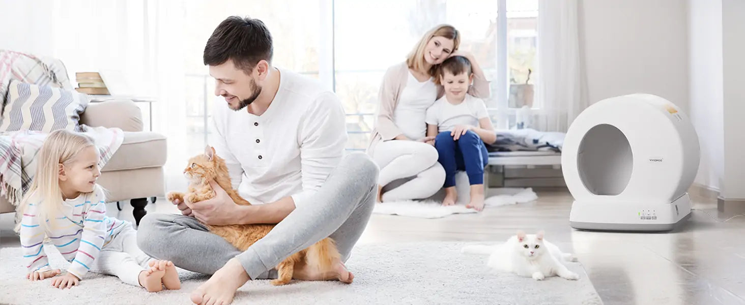 How To Stop a Cat From Peeing Everywhere in the House