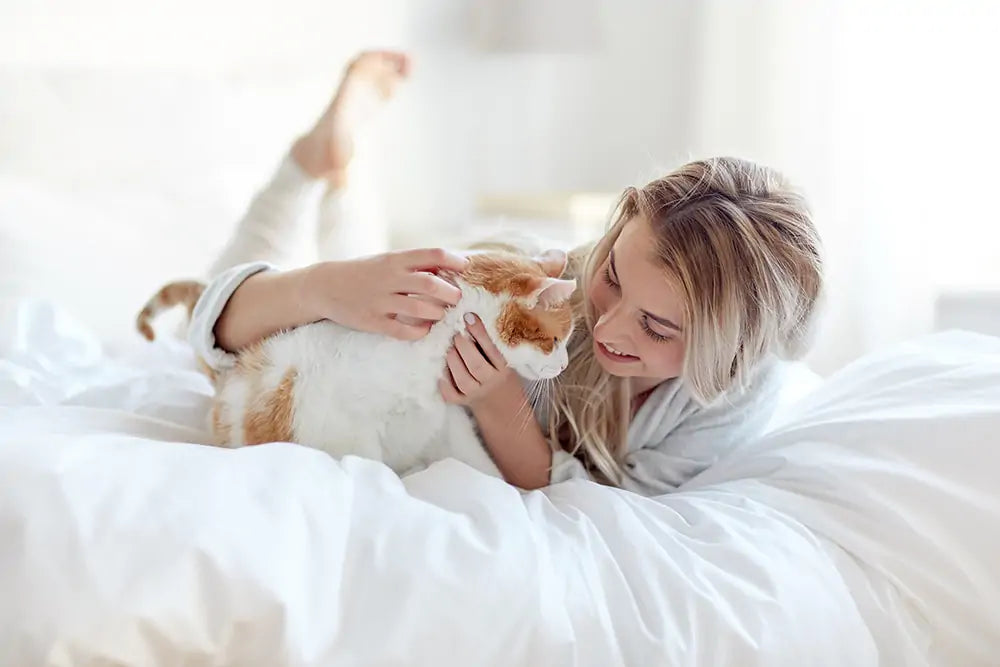 Intelligent self-cleaning cat litter box product introduction