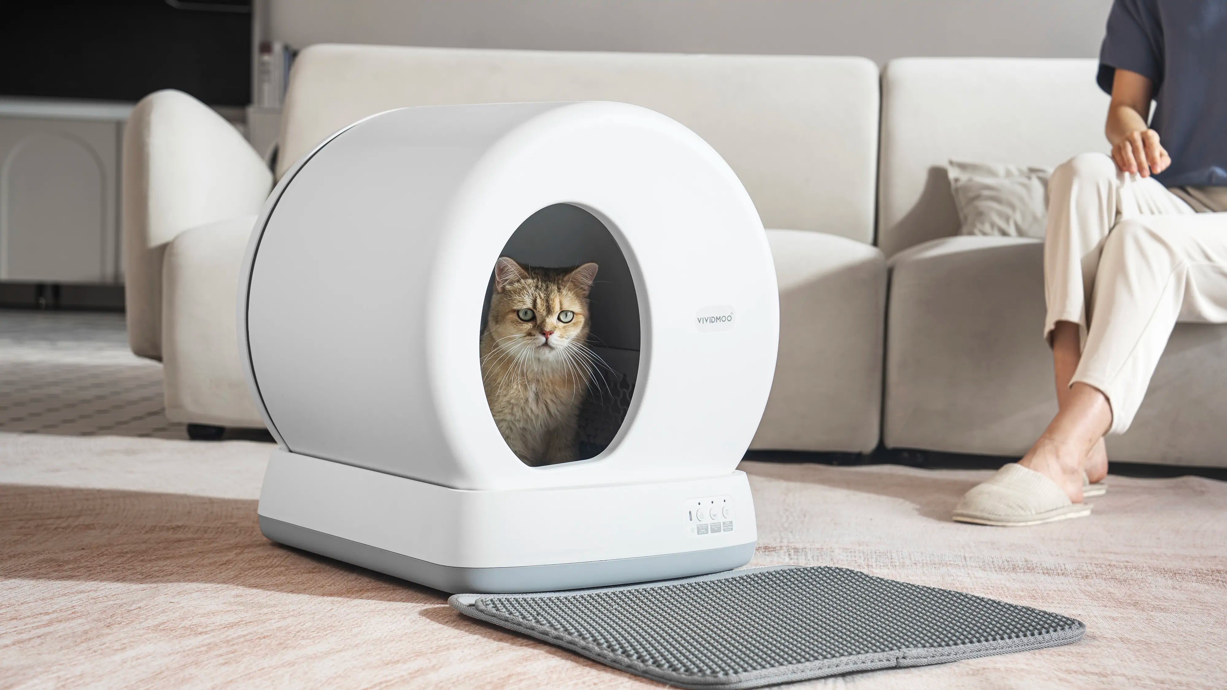 How to Choose a Cat Litter Box