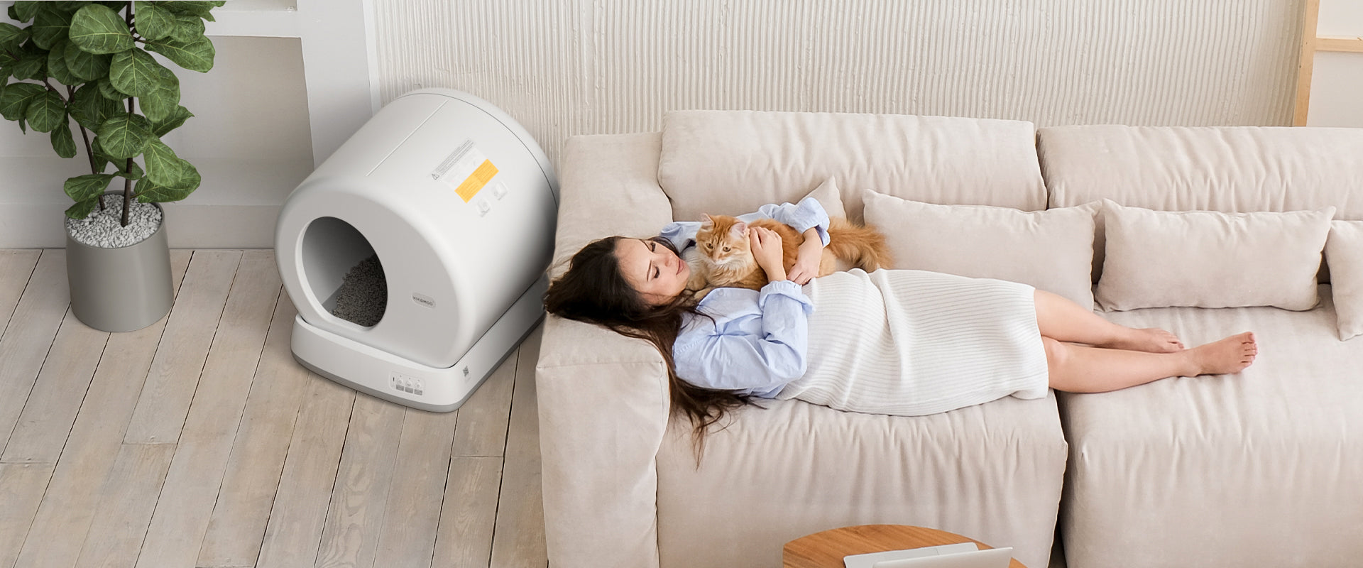 Cats, Pregnant Women, and Toxoplasmosis